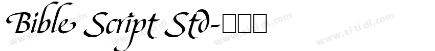 Bible Script Std字体转换